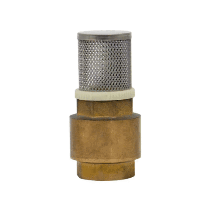 Pegler 2" Brass Foot Valve